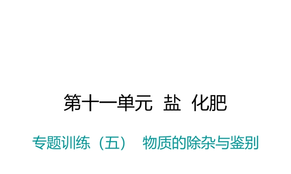 （江西专版）春九年级化学下册 第11单元 盐 化肥 专题训练（五）物质的除杂与鉴别课件 （新版）新人教版-（新版）新人教版初中九年级下册化学课件