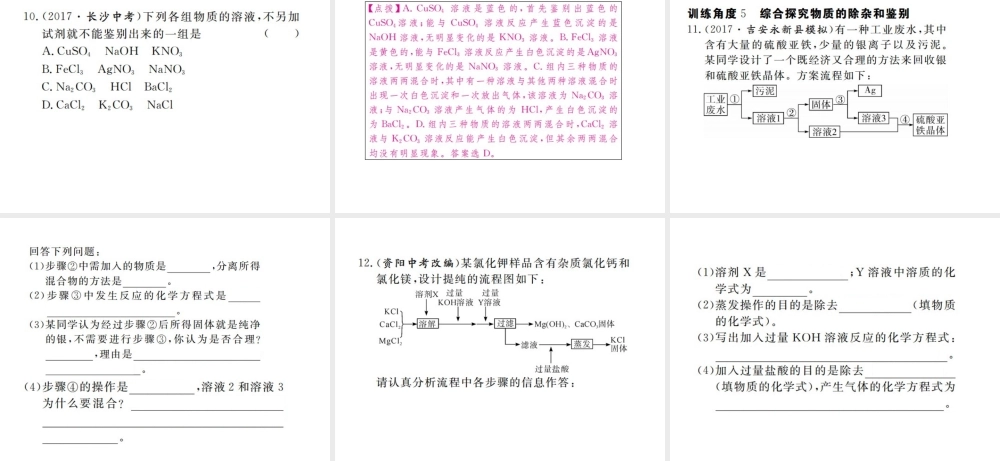 （江西专版）春九年级化学下册 第11单元 盐 化肥 专题训练（五）物质的除杂与鉴别课件 （新版）新人教版-（新版）新人教版初中九年级下册化学课件