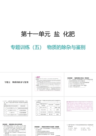 （江西专版）春九年级化学下册 第11单元 盐 化肥 专题训练（五）物质的除杂与鉴别课件 （新版）新人教版-（新版）新人教版初中九年级下册化学课件