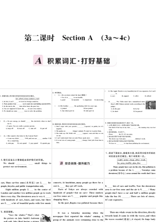 （江西专版）秋九年级英语全册 Unit 13 We’re trying to save the earth第二课时习题课件 （新版）人教新目标版-（新版）人教新目标版初中九年级全册英语课件