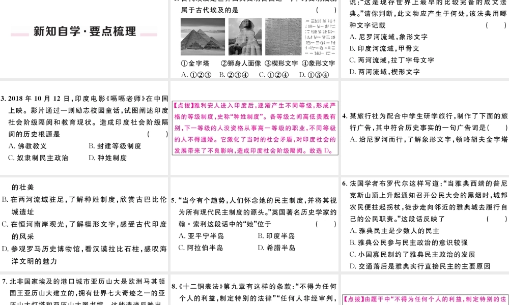 （江西专版）秋九年级历史上册 期末专题复习一 古代亚非欧文明习题课件 新人教版-新人教版初中九年级上册历史课件