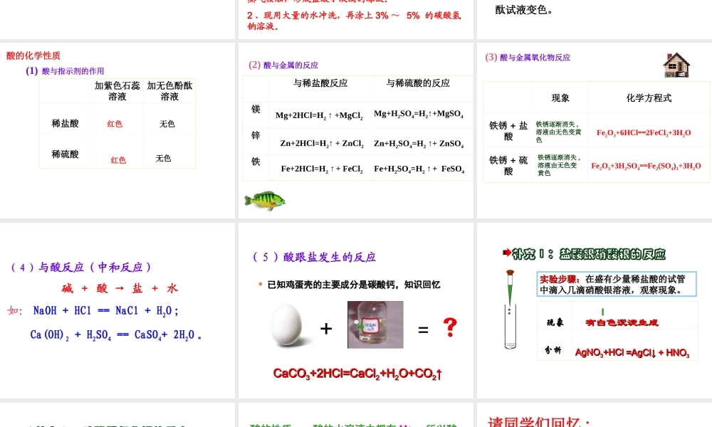 （江西专用）中考化学 考点聚焦 第十单元 酸和碱课件-人教版初中九年级全册化学课件