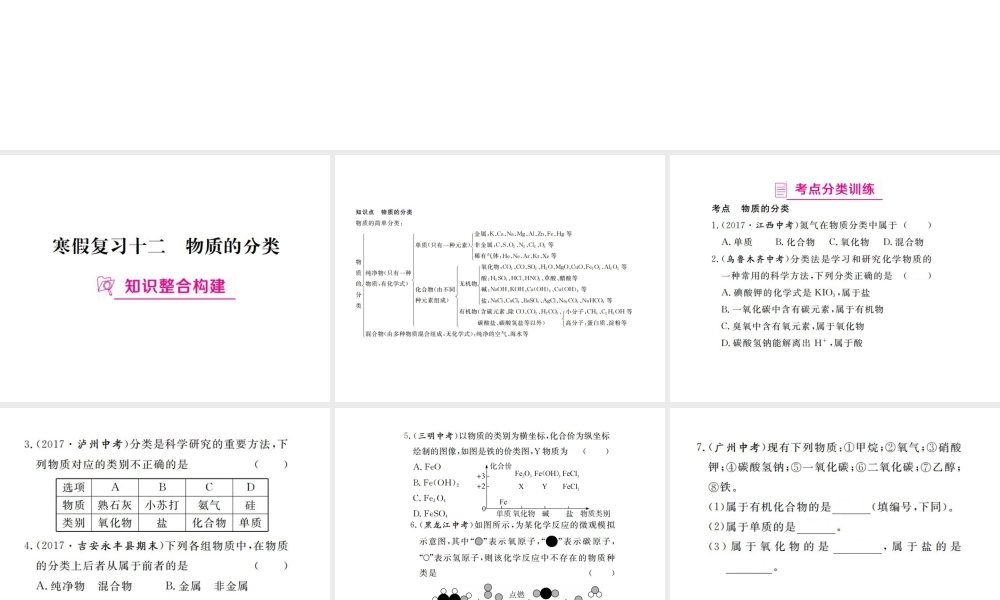 （江西专版）春九年级化学下册 寒假复习十二 物质的分类课件 （新版）新人教版-（新版）新人教版初中九年级下册化学课件