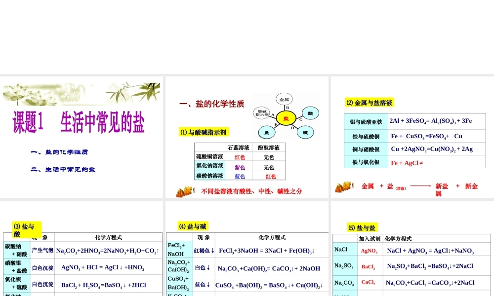（江西专用）中考化学 考点聚焦 第十一单元 盐 化肥课件-人教版初中九年级全册化学课件