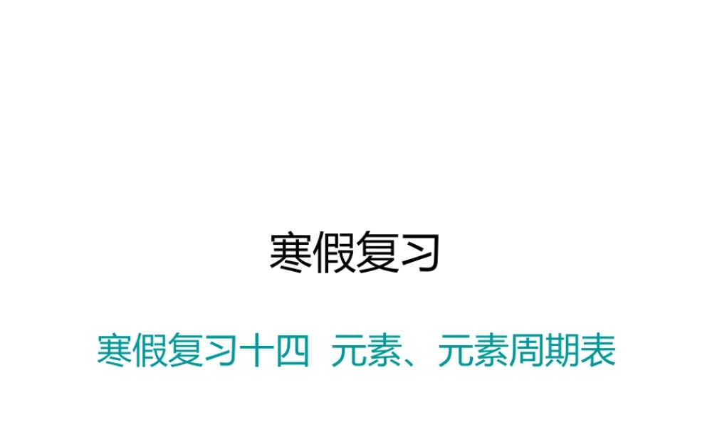 （江西专版）春九年级化学下册 寒假复习十四 元素、元素周期表课件 （新版）新人教版-（新版）新人教版初中九年级下册化学课件