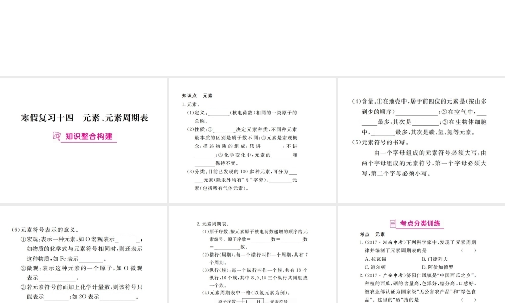 （江西专版）春九年级化学下册 寒假复习十四 元素、元素周期表课件 （新版）新人教版-（新版）新人教版初中九年级下册化学课件