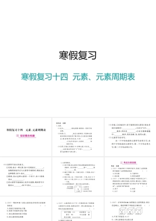 （江西专版）春九年级化学下册 寒假复习十四 元素、元素周期表课件 （新版）新人教版-（新版）新人教版初中九年级下册化学课件