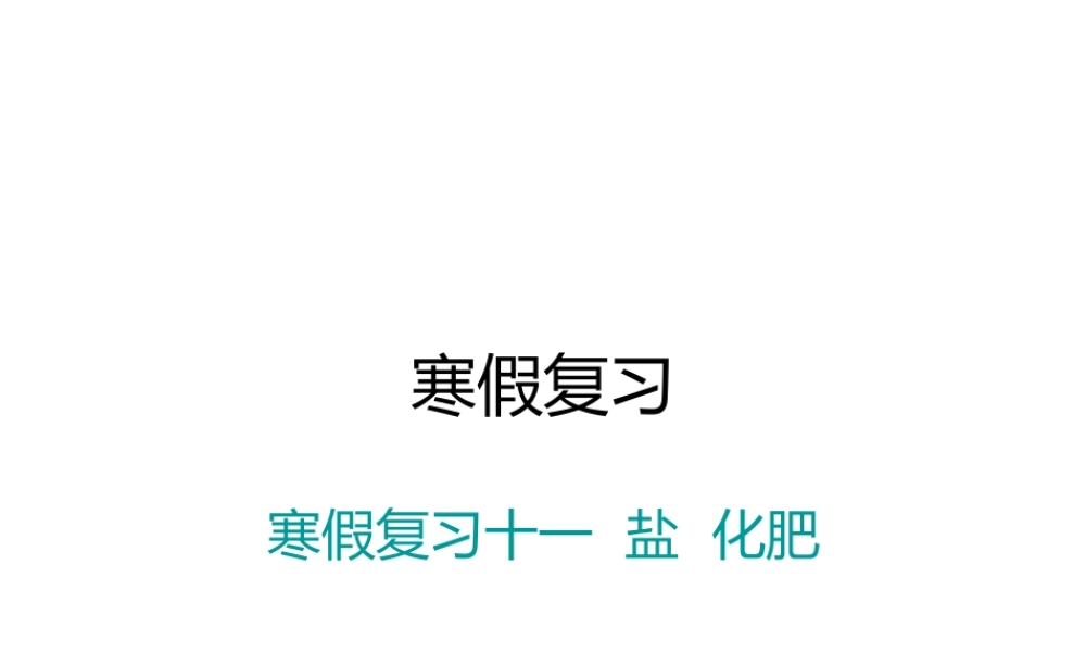 （江西专版）春九年级化学下册 寒假复习十一 盐 化肥课件 （新版）新人教版-（新版）新人教版初中九年级下册化学课件