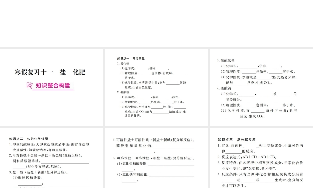 （江西专版）春九年级化学下册 寒假复习十一 盐 化肥课件 （新版）新人教版-（新版）新人教版初中九年级下册化学课件