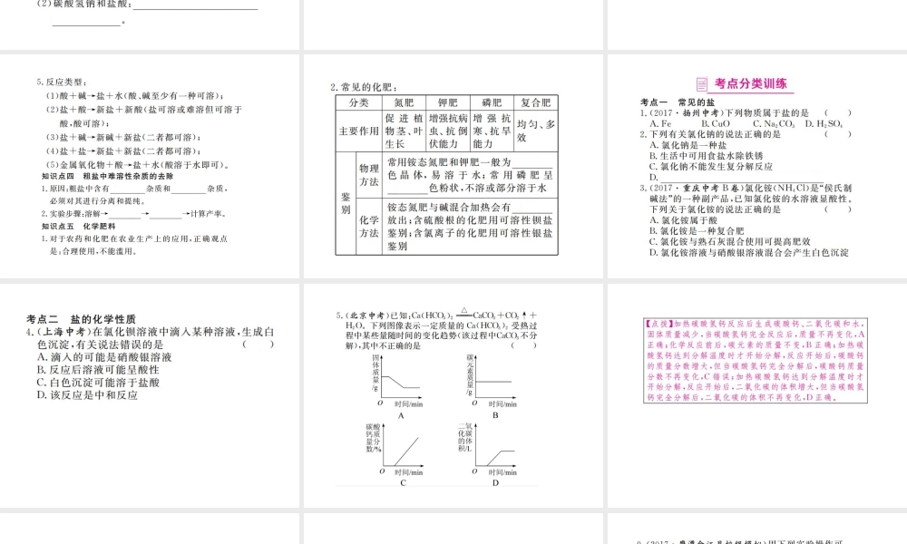 （江西专版）春九年级化学下册 寒假复习十一 盐 化肥课件 （新版）新人教版-（新版）新人教版初中九年级下册化学课件