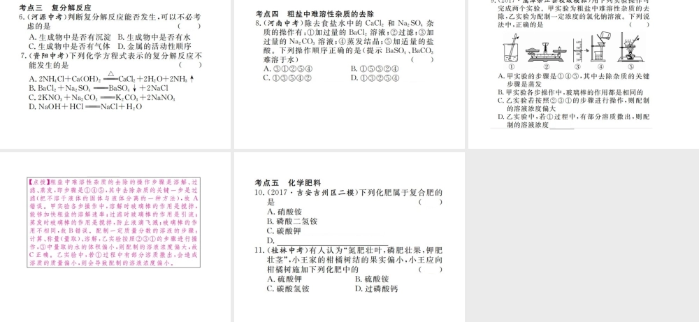 （江西专版）春九年级化学下册 寒假复习十一 盐 化肥课件 （新版）新人教版-（新版）新人教版初中九年级下册化学课件