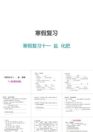 （江西专版）春九年级化学下册 寒假复习十一 盐 化肥课件 （新版）新人教版-（新版）新人教版初中九年级下册化学课件
