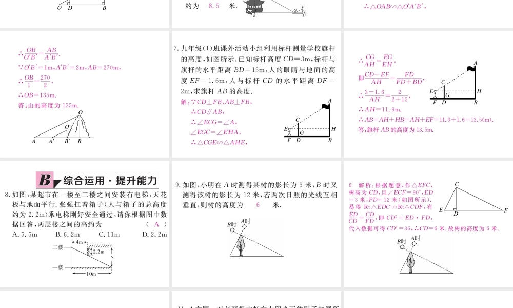 （江西专级数学上册 第四章 图形的相似 4.6 利用相似三角形测高习题讲评课件 （新版）北师大版-（新版）北师大级上册数学课件