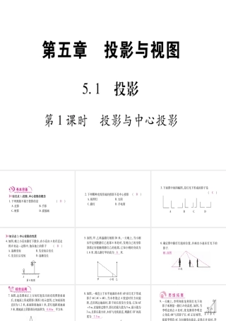 （江西专版）秋九年级数学上册 第5章 投影与视图 5.1 投影 第1课时 投影与中心投影作业课件 （新版）北师大版-（新版）北师大版初中九年级上册数学课件