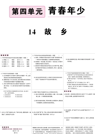 （江西专版）秋九年级语文上册 第四单元 14 故乡习题课件 新人教版-新人教版初中九年级上册语文课件