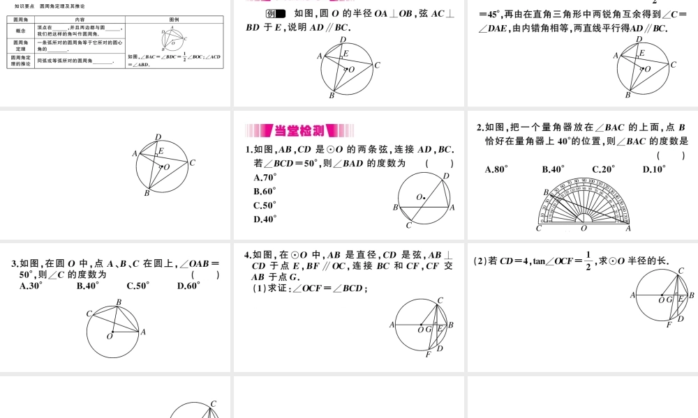 （江西专级数学下册 第3章 圆 4 圆周角和圆心角的关系（第1课时 圆周角和圆心角的关系）课件（新版）北师大版-（新版）北师大级下册数学课件