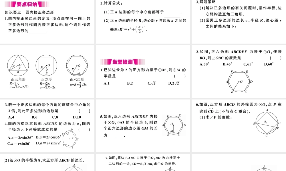（江西专级数学下册 第3章 圆 8 圆内接正多边形课件（新版）北师大版-（新版）北师大级下册数学课件