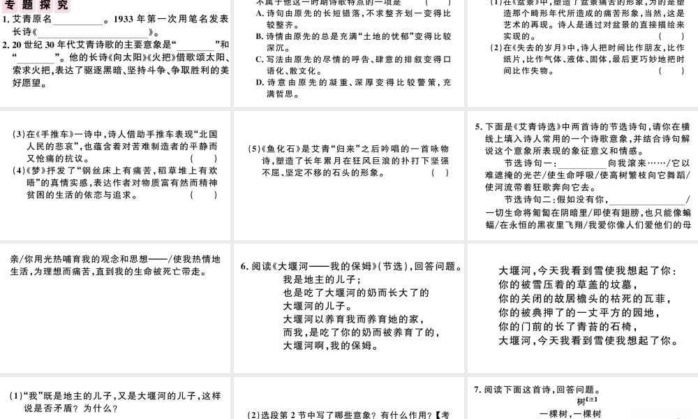 （江西专版）秋九年级语文上册 第一单元名著导读（一）《艾青诗选》如何读诗习题课件 新人教版-新人教版初中九年级上册语文课件