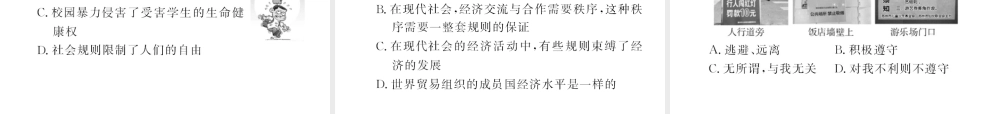（河南专版）八年级道德与法治上册 第二单元 遵守社会规则 第三课 社会生活离不开规则习题课件 新人教版-新人教版初中八年级上册政治课件