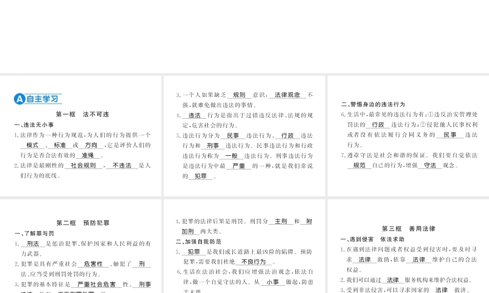 （河南专版）八年级道德与法治上册 第二单元 遵守社会规则 第五课 做守法的公民习题课件 新人教版-新人教版初中八年级上册政治课件