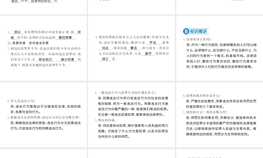 （河南专版）八年级道德与法治上册 第二单元 遵守社会规则 第五课 做守法的公民习题课件 新人教版-新人教版初中八年级上册政治课件