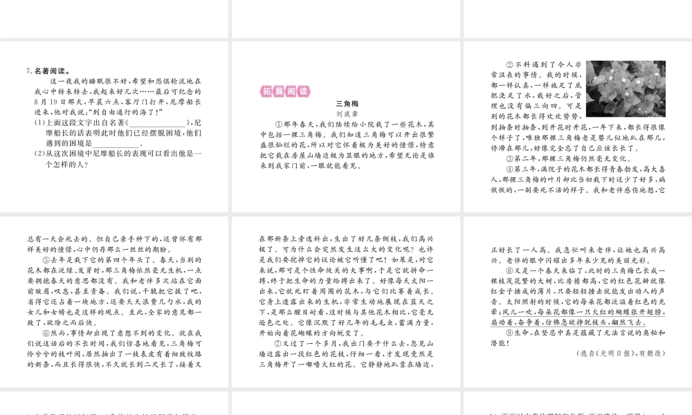 （江西专版）春七年级语文下册 第五单元 18 一颗小桃树习题课件 新人教版-新人教版初中七年级下册语文课件