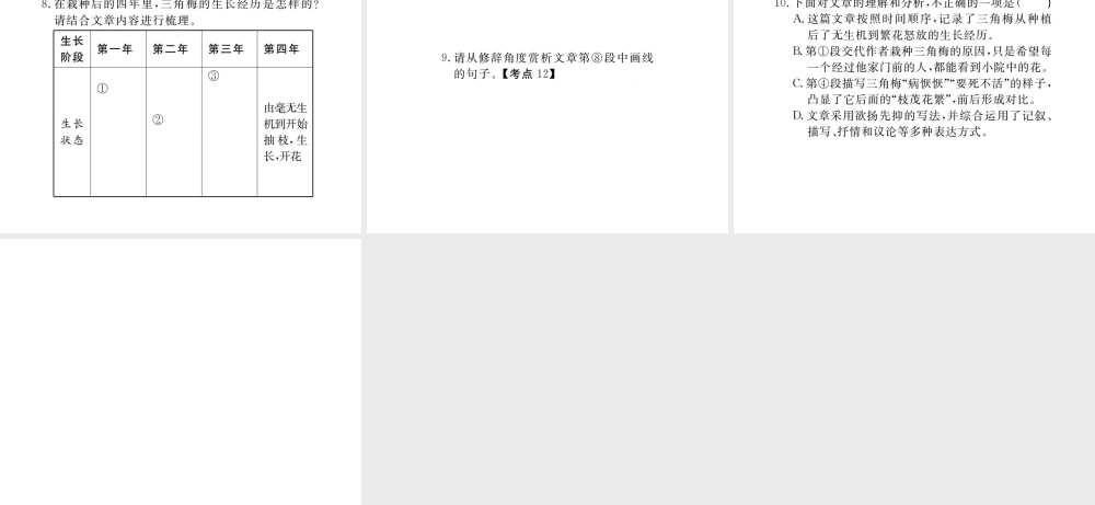 （江西专版）春七年级语文下册 第五单元 18 一颗小桃树习题课件 新人教版-新人教版初中七年级下册语文课件