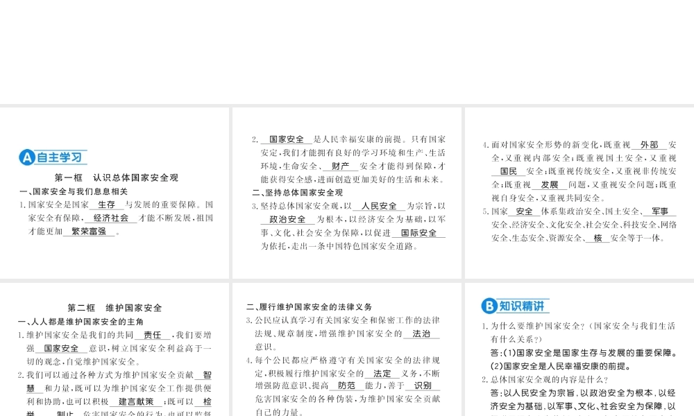 （河南专版）八年级道德与法治上册 第四单元 维护国家利益 第九课 树立总体国家安全观习题课件 新人教版-新人教版初中八年级上册政治课件
