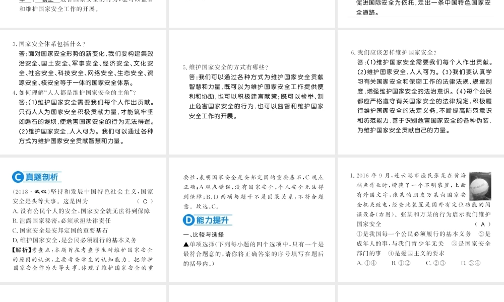 （河南专版）八年级道德与法治上册 第四单元 维护国家利益 第九课 树立总体国家安全观习题课件 新人教版-新人教版初中八年级上册政治课件