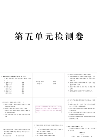 （江西专版）春七年级语文下册 第五单元检测课件 新人教版-新人教版初中七年级下册语文课件