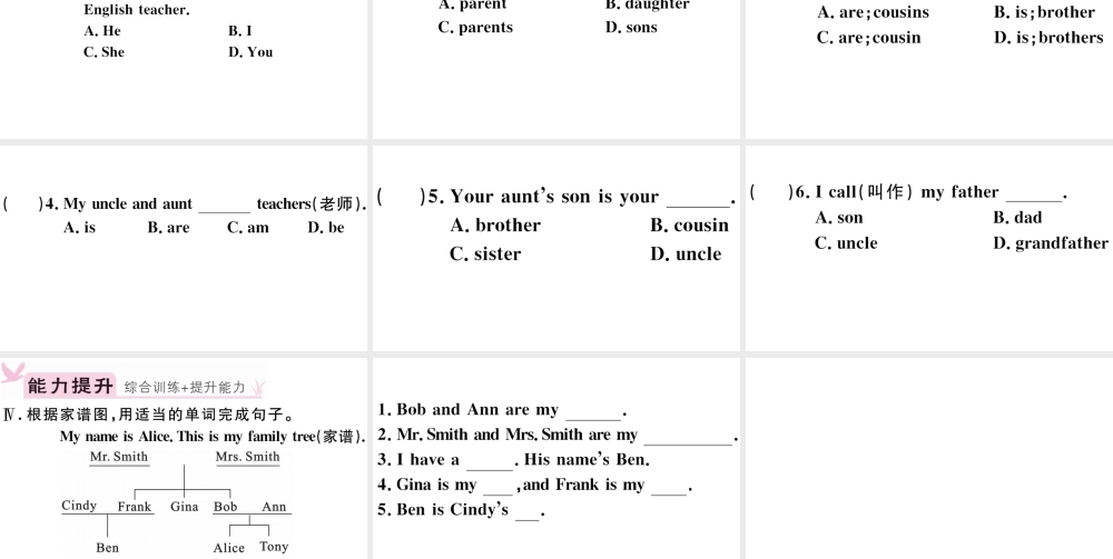 （江西专版）秋七年级英语上册 Unit 2 This is my sister第三课时习题课件（新版）人教新目标版-（新版）人教新目标版初中七年级上册英语课件