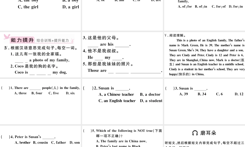 （江西专版）秋七年级英语上册 Unit 2 This is my sister第四课时习题课件（新版）人教新目标版-（新版）人教新目标版初中七年级上册英语课件