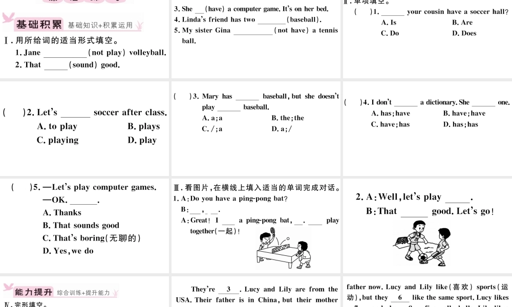 （江西专版）秋七年级英语上册 Unit 5 Do you have a soccer ball第二课时习题课件（新版）人教新目标版-（新版）人教新目标版初中七年级上册英语课件