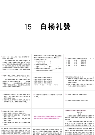 （河北专版）八年级语文上册 第四单元 15 白杨礼赞课件 新人教版-新人教版初中八年级上册语文课件