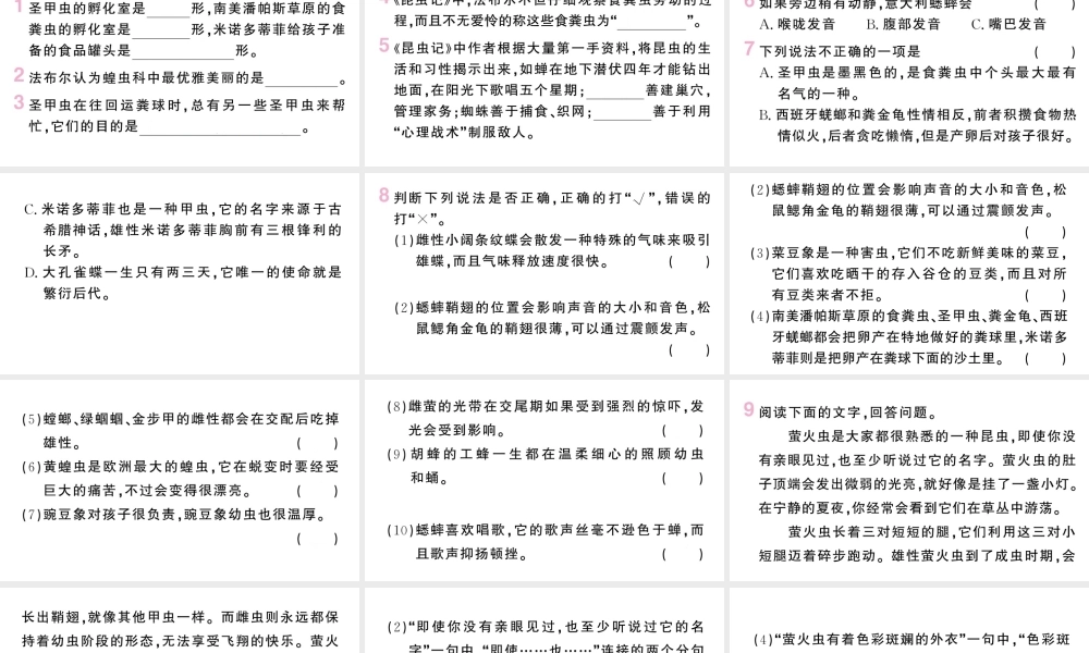 （河北专版）八年级语文上册 第四单元 名著练习6课件 新人教版-新人教版初中八年级上册语文课件