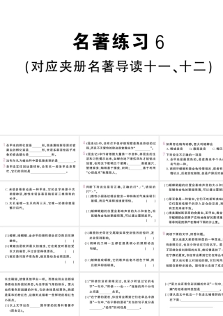 （河北专版）八年级语文上册 第四单元 名著练习6课件 新人教版-新人教版初中八年级上册语文课件