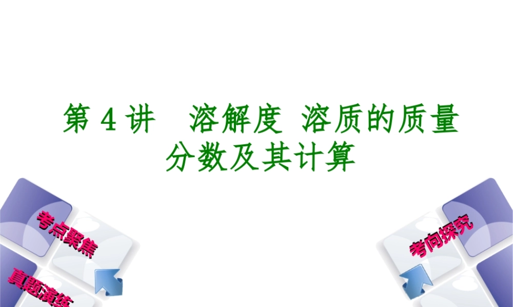 （河北专版）中考化学复习 第4课时 溶解度 溶质的质量分数及其计算课件-人教版初中九年级全册化学课件