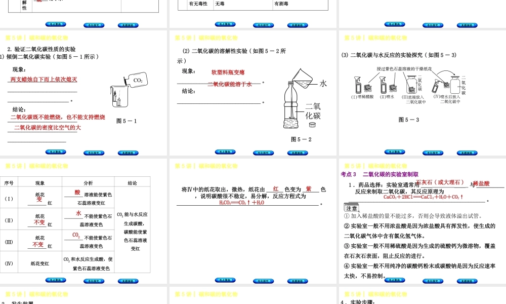 （河北专版）中考化学复习 第5课时 碳和碳的氧化物课件-人教版初中九年级全册化学课件