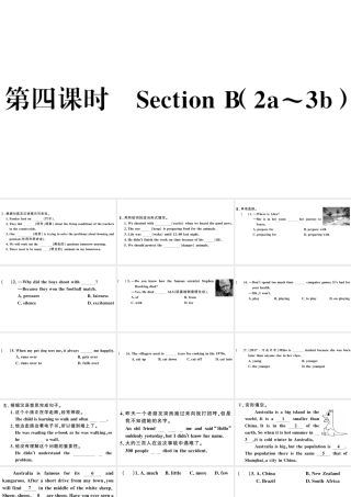 （河南专版）八年级英语下册 Unit 7 What’s the highest mountain in the world第四课时习题课件（新版）人教新目标版-（新版）人教新目标版初中八年级下册英语课件