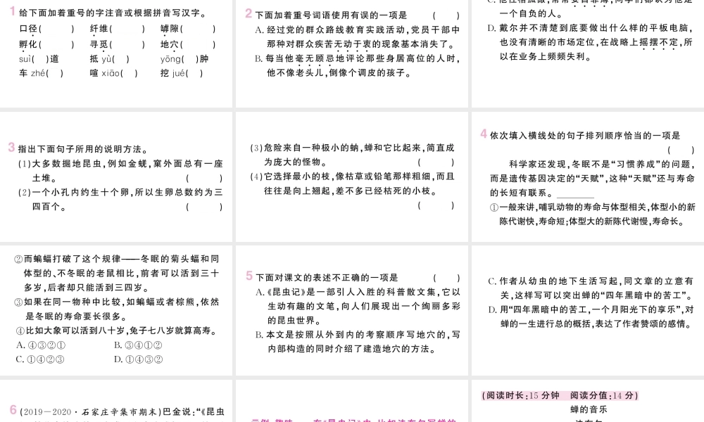 （河北专版）八年级语文上册 第五单元 20 蝉课件 新人教版-新人教版初中八年级上册语文课件