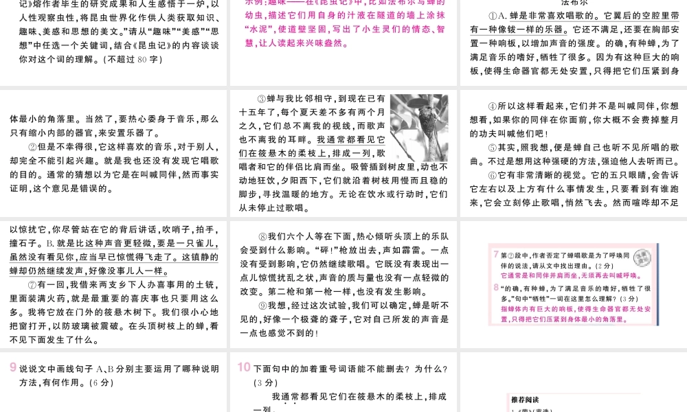 （河北专版）八年级语文上册 第五单元 20 蝉课件 新人教版-新人教版初中八年级上册语文课件