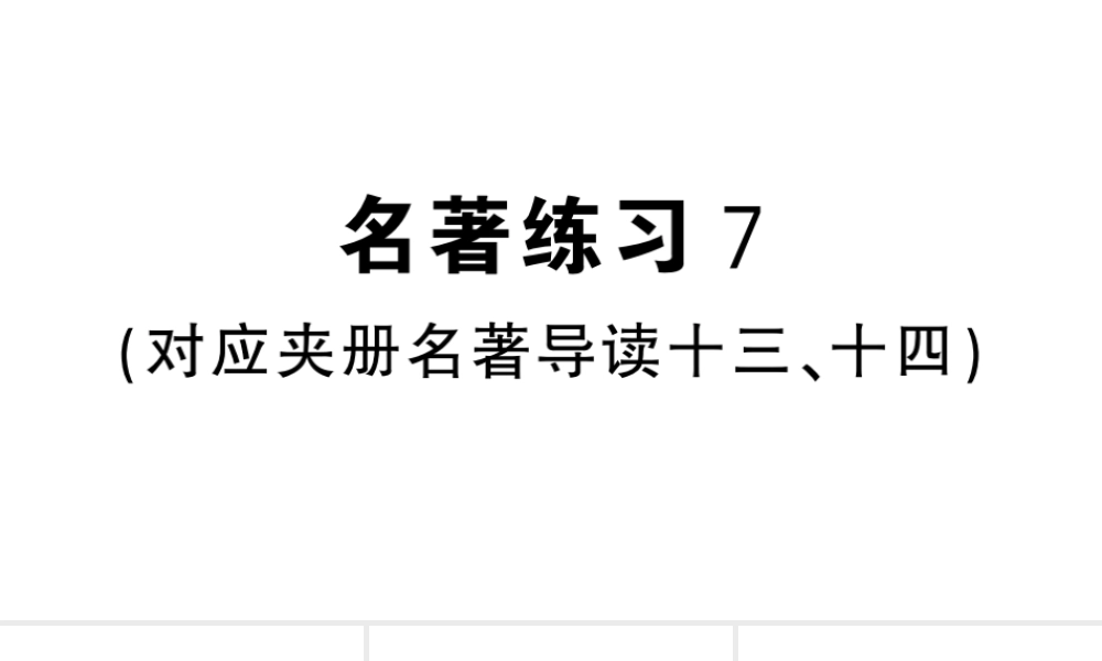 （河北专版）八年级语文上册 第五单元 名著练习7课件 新人教版-新人教版初中八年级上册语文课件