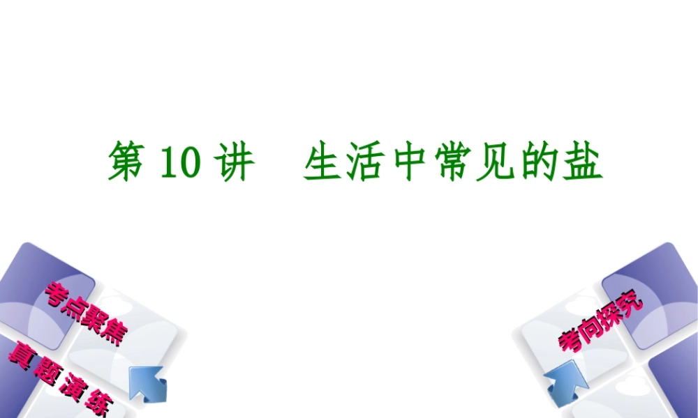 （河北专版）中考化学复习 第10课时 生活中常见的盐课件-人教版初中九年级全册化学课件