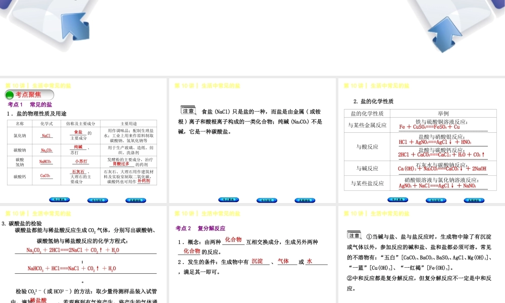 （河北专版）中考化学复习 第10课时 生活中常见的盐课件-人教版初中九年级全册化学课件