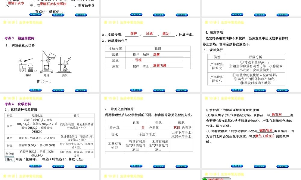 （河北专版）中考化学复习 第10课时 生活中常见的盐课件-人教版初中九年级全册化学课件