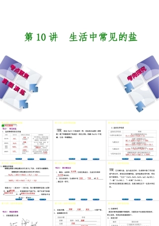 （河北专版）中考化学复习 第10课时 生活中常见的盐课件-人教版初中九年级全册化学课件