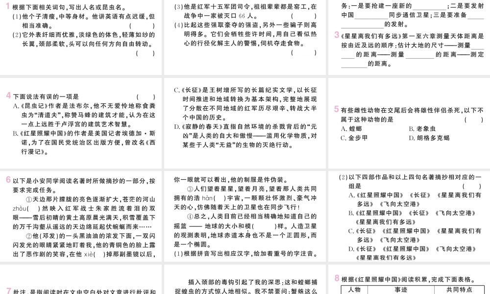 （河北专版）八年级语文上册 第五单元 名著练习8课件 新人教版-新人教版初中八年级上册语文课件