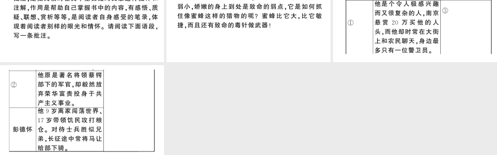 （河北专版）八年级语文上册 第五单元 名著练习8课件 新人教版-新人教版初中八年级上册语文课件
