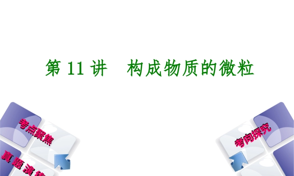 （河北专版）中考化学复习 第11课时 构成物质的微粒课件-人教版初中九年级全册化学课件