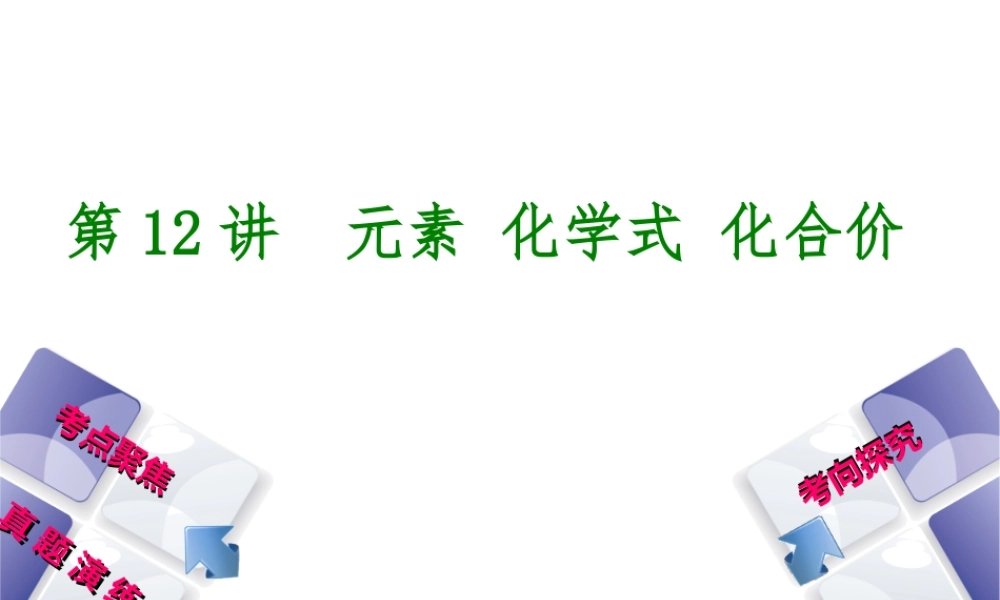 （河北专版）中考化学复习 第12课时 元素化学式 化合价课件-人教版初中九年级全册化学课件